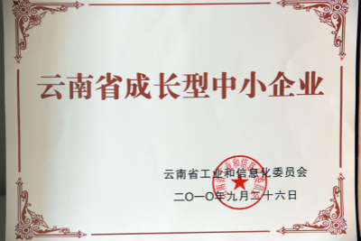 2010年，云南省成長型中小企業.jpg