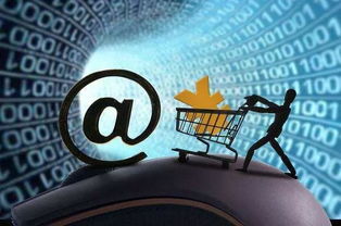 互聯(lián)網(wǎng)保險(xiǎn)的下半場(chǎng) 數(shù)據(jù)服務(wù)驅(qū)動(dòng)的新增長(zhǎng)路徑